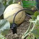 Kit complet 10 Goutte à goutte pour mettre sur une réserve